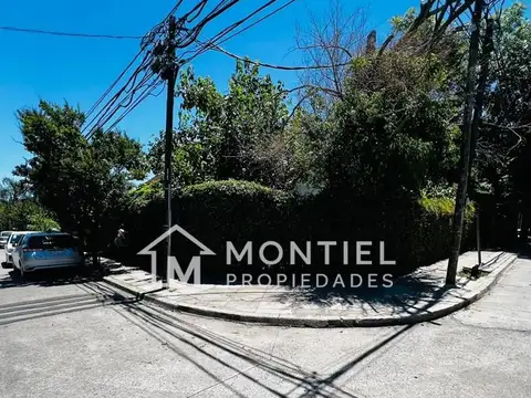 ALAS ARGENTINAS 6500