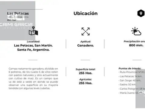 CAMPO DE 255 HECTAREAS EN LAS PETACAS
