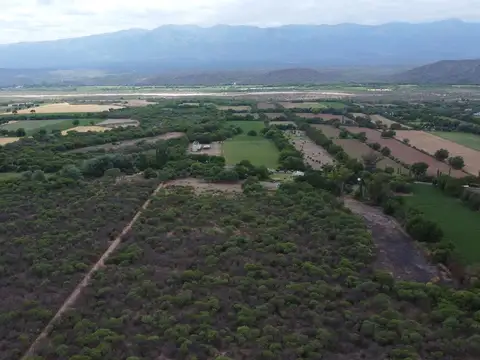 VENTA FINCA 34 HECTAREAS EN TALAPAMPA, SALTA