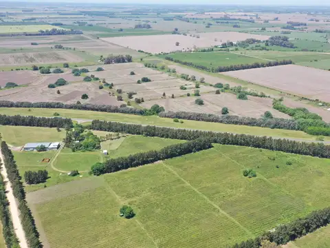 Campo en venta en Ruta 193, Chenaut