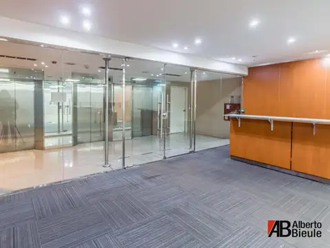 Leandro N. Alem al 1100