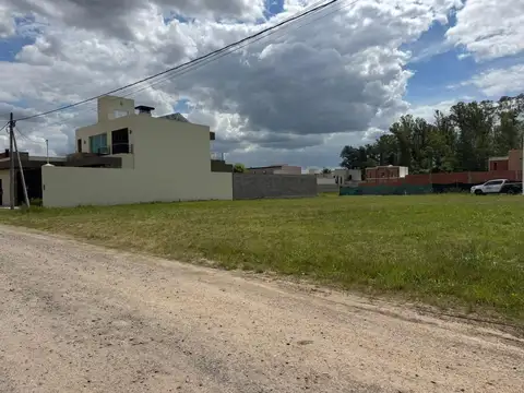 Parana Y Garavaglia-las Rosas