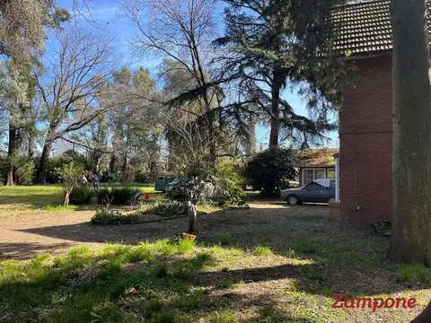 Fray Luis de Leon  al 1000