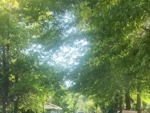 Terreno en Venta en Los Robles del Monarca, USD 67.700