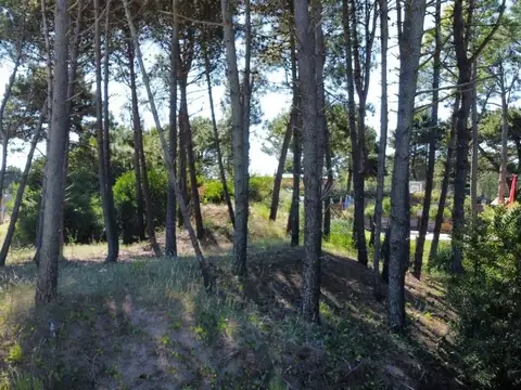 Terreno en Venta de 731,0 m2