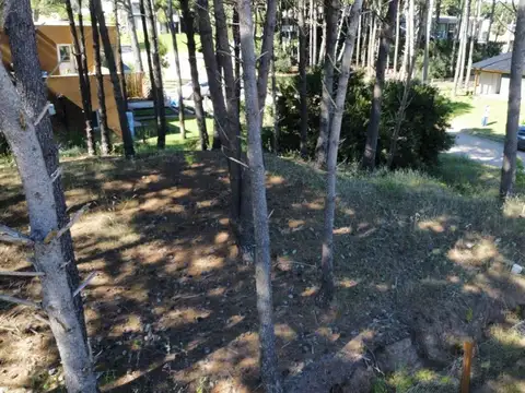 Terreno en Venta de 731,0 m2