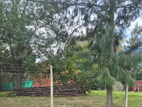 Terreno en Venta en Arturo Segui, USD 13.900