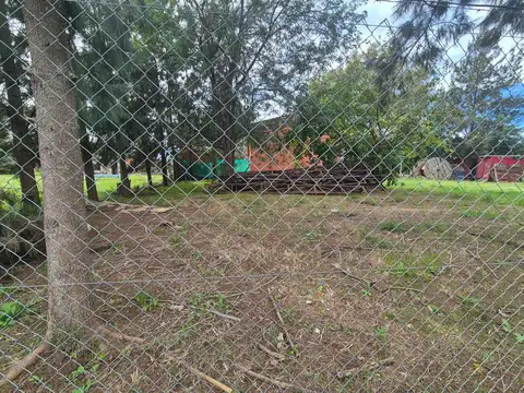 Terreno en Venta en Arturo Segui, USD 13.900