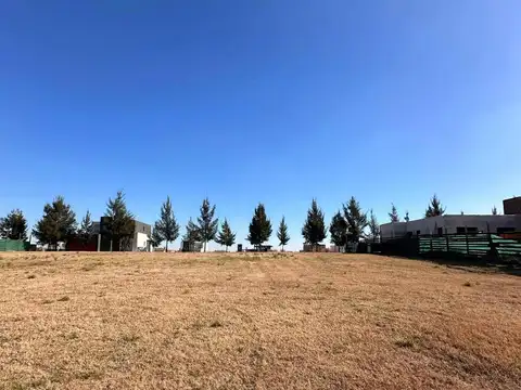 El Naudir