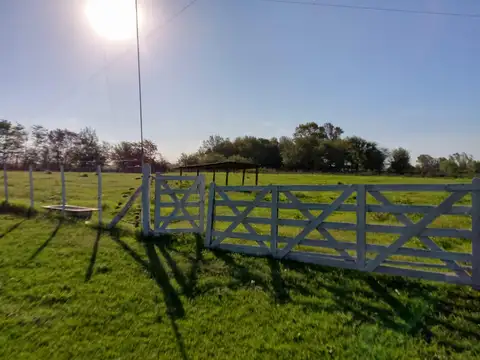Campo en Maximo Paz