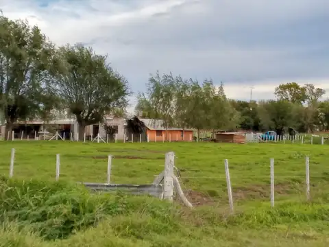 CASA QUINTA  EN MAXIMO PAZ