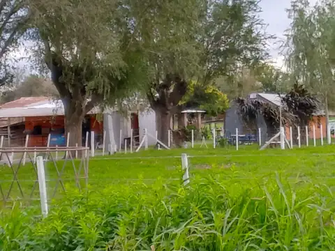 Campo en Maximo Paz