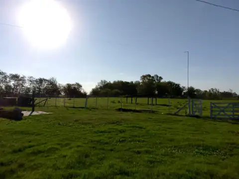 Campo en Maximo Paz