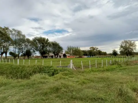 Campo en Maximo Paz