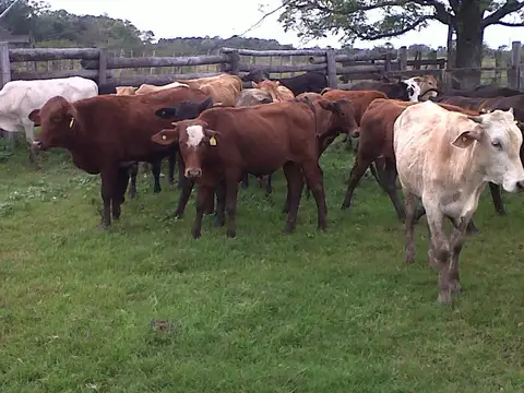 Ruta 2 Km 31