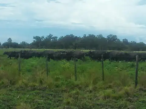 Campo de 2025 has. ganadero, bajo de precio, oportunidad!