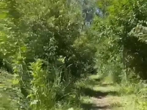 Terreno Lote  en Venta en Rincón de Milberg, Tigre, G.B.A. Zona Norte