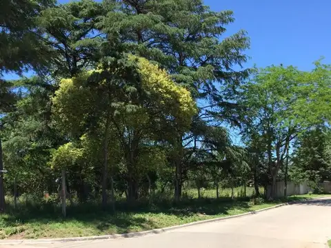 Santa Ana 700