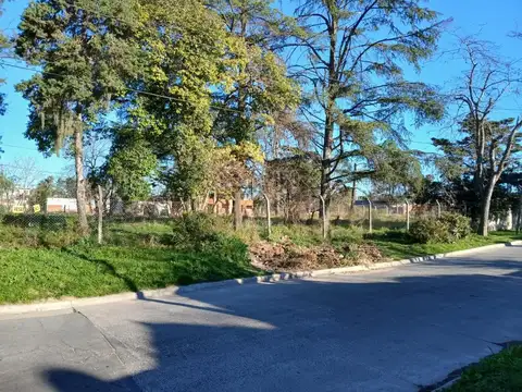 AMPLIO LOTE SOBRE SANTA ANA 