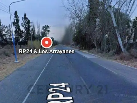ARRAYANES , Piso 0