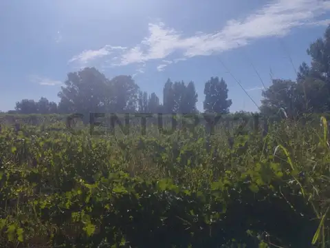 Casa en Venta de 1 dormitorio