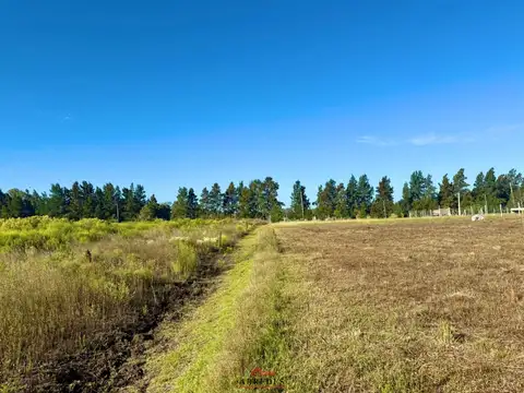 VENDIDO · Lote con vista al campo · 2000m2 · Praderas de Cardales 100