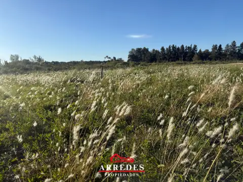 Terreno en Venta de 2000,0 m2