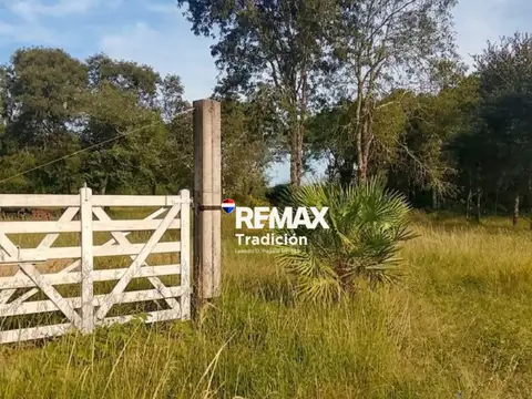 VENTA TERRENO 12.600 M2 COLONIA BENITEZ