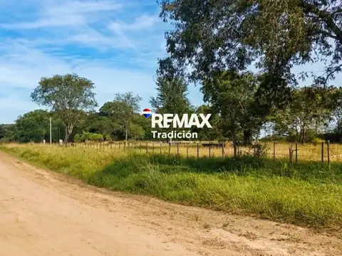 VENTA TERRENO 12.600 M2 COLONIA BENITEZ