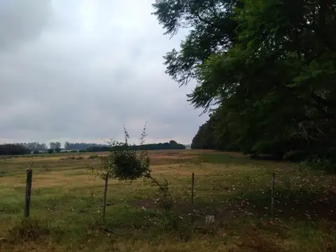 Campo en Venta de 6  ha