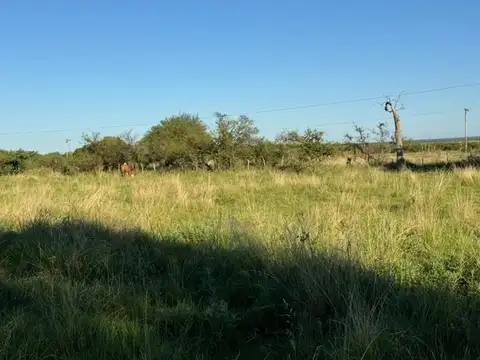 Campo ganadero 62 hec sobre ruta 126 Sauce Corrientes