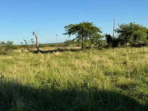 Ruta 126 Sauce