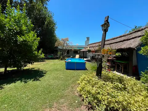 Carolina Cora 600
