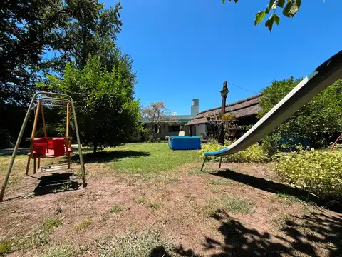Carolina Cora 600
