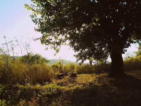 Chicoana. Finca Bella Vista