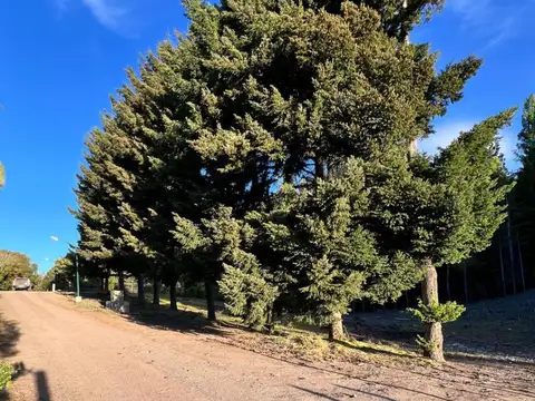 Terreno / Lote en venta de 1470m2 ubicado en San Martin de los Andes