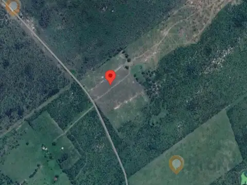 Campo en Colonia Yeso