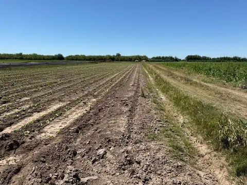 Terreno en Venta de 50000,0 m2