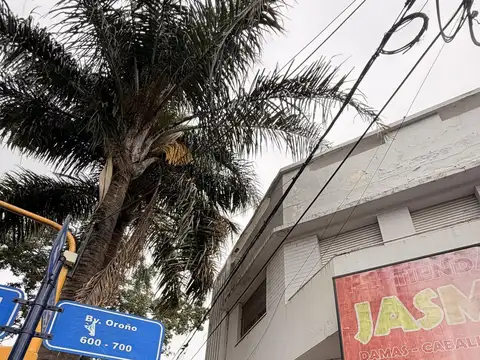 Local y departamento sobre Av. San Martín y Oroño