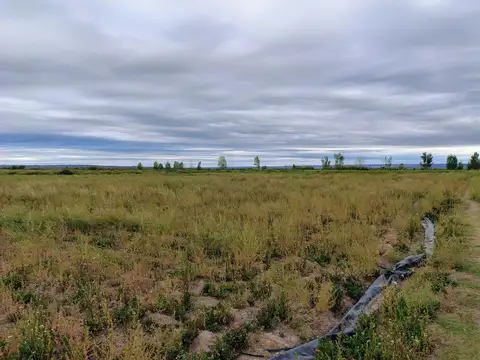 Campo en Venta de 25  ha
