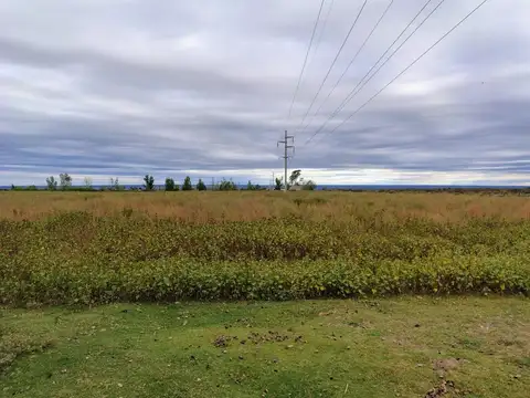 FINCA DE 25 HA EN EL CARRIZAL