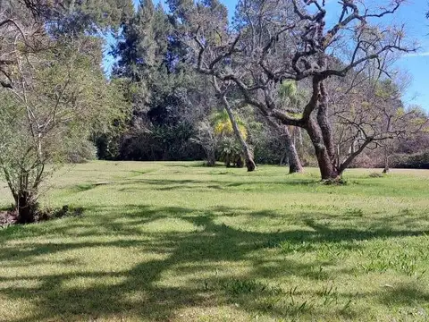 Terreno en Venta en Arroyo Carapachay, USD 66.000