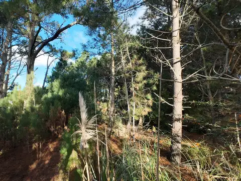 Terreno en Venta en Pinamar, USD 77.000