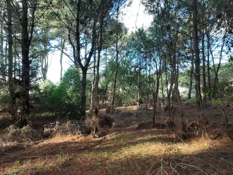 Terreno en Venta de 1076,0 m2