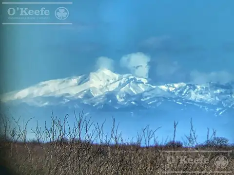 Campo de Cría/Recría 74.000 Has.   para 8800 madres, armado en Mendoza