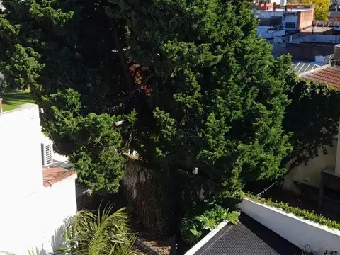 Departamento en Alquiler en Barrio San Pedro, $ 550.000
