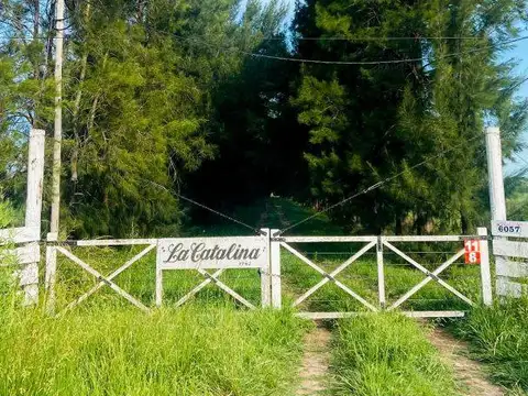 Venta de Campo de 72 hectareas, Brandsen.