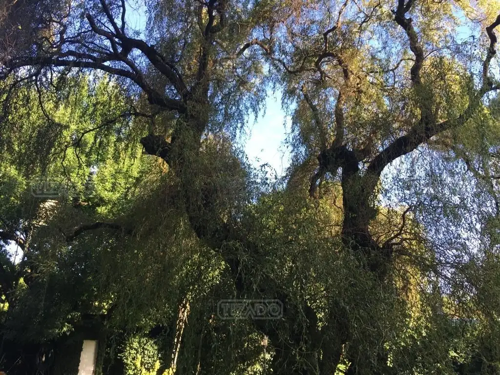 Terreno - 2.461  m²