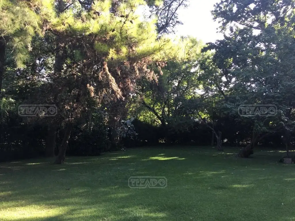 Highland Park CC-Castaño 1600