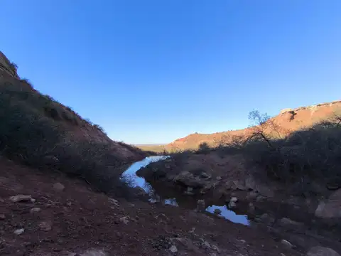 LOTES ESCRITURABLES  EN VENTA EN SENILLOSA NORTE  NEUQUEN VACA MUERTA